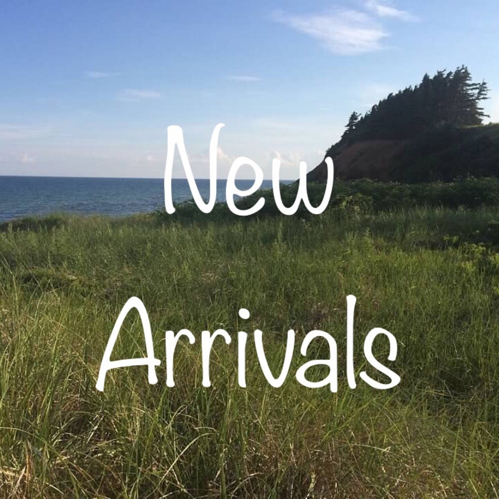 Check out my New Arrivals Section!